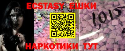 дмт Славгород