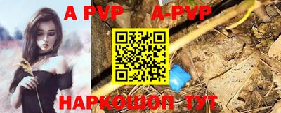 спиды Сланцы